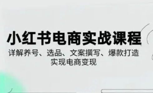 小红书从0-1实操课(2023-2025)，详解养号、选品、文案撰写、爆款打造实现电商变现-青年创业网